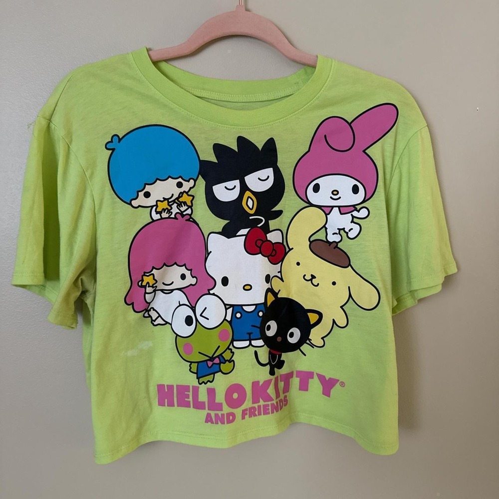 Sanrio Hello Kitty and Friends Cropped Tee Green Pink Kawaii Women Large